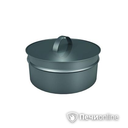 Заглушки Теплов и Сухов Заглушка ревизии Термо-Р 304 0.5 D250(150) в Зеленограде