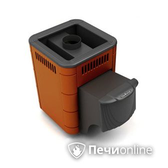 Дровяная банная печь TMF Оса Carbon терракота дверь антрацит в Зеленограде