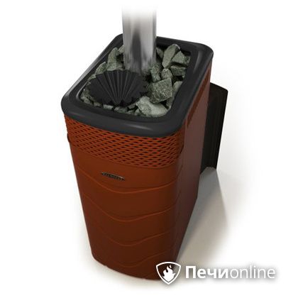 Дровяная банная печь TMF Гейзер XXL 2017 Inox Витра закрытая каменка терракота в Зеленограде